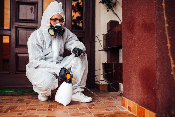 Reliable Ant Control contractor in Chester, SC by Nex Pest Control